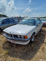 Hagelands oldtimer treffen (Meensel-Kiezegem)