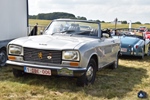 Oldtimer Fly & Drive-in Schaffen-Diest