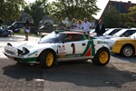 Memorial Rally van Looi