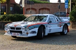 Memorial Rally van Looi