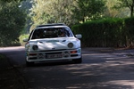 Memorial Rally van Looi