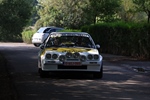 Memorial Rally van Looi