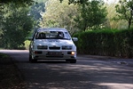 Memorial Rally van Looi