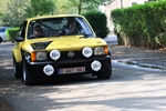 Memorial Rally van Looi