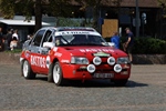 Memorial Rally van Looi