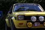 Memorial Rally van Looi