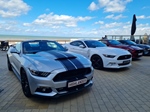 Corvette meets Mustang Middelkerke