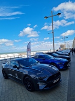 Corvette meets Mustang Middelkerke