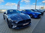 Corvette meets Mustang Middelkerke