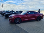 Corvette meets Mustang Middelkerke