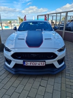 Corvette meets Mustang Middelkerke