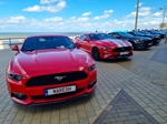 Corvette meets Mustang Middelkerke