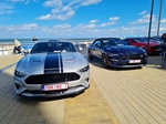 Corvette meets Mustang Middelkerke