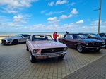 Corvette meets Mustang Middelkerke