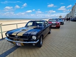 Corvette meets Mustang Middelkerke