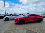 Corvette meets Mustang Middelkerke