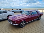 Corvette meets Mustang Middelkerke