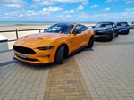 Corvette meets Mustang Middelkerke