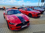 Corvette meets Mustang Middelkerke