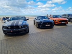 Corvette meets Mustang Middelkerke