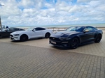 Corvette meets Mustang Middelkerke