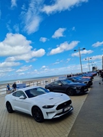 Corvette meets Mustang Middelkerke