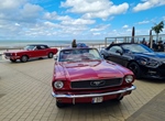 Corvette meets Mustang Middelkerke