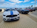 Corvette meets Mustang Middelkerke