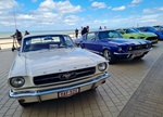 Corvette meets Mustang Middelkerke