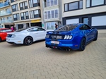 Corvette meets Mustang Middelkerke