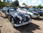 Oldtimermeeting Rumst (Terhagen)