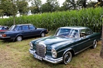 Antwerp Concours d'Elegance Wijnegem