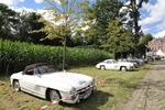 Antwerp Concours d'Elegance Wijnegem