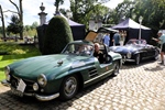 Antwerp Concours d'Elegance Wijnegem