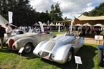 Antwerp Concours d'Elegance Wijnegem