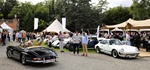 Antwerp Concours d'Elegance Wijnegem