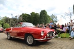 Antwerp Concours d'Elegance Wijnegem