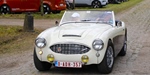 Antwerp Concours d'Elegance Wijnegem