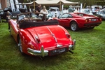 Antwerp Concours d'Elegance