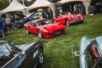 Antwerp Concours d'Elegance