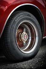 Dag van de Oldtimer (Red De Oldtimer)