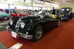 Classic Car Show Brussels Expo