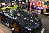 Rétromobile Parijs
