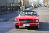 Oldtimers and friends Noord Antwerpen