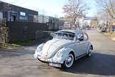 Oldtimers and friends Noord Antwerpen