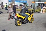 Oldtimers and friends Noord Antwerpen